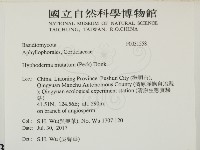 登錄號:F0031558藏品圖，第2張