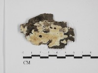 登錄號:F0031558藏品圖，第1張