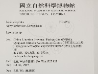 登錄號:F0031559藏品圖，第2張