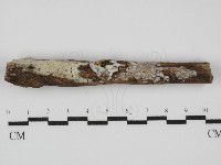 登錄號:F0031559藏品圖，第1張
