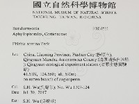 登錄號:F0031561藏品圖，第2張