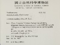 登錄號:F0031562藏品圖，第2張