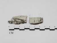 登錄號:F0031562藏品圖，第1張