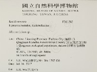登錄號:F0031563藏品圖，第2張