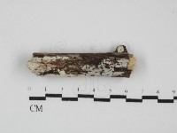 登錄號:F0031563藏品圖，第1張