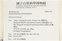 登錄號:F0031563藏品圖，第3張