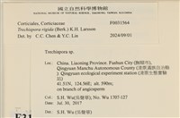 登錄號:F0031564藏品圖，第3張