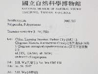 雲芝藏品圖，第2張
