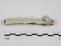 登錄號:F0031566藏品圖，第1張