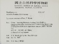 登錄號:F0031567藏品圖，第2張