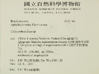 登錄號:F0031569藏品圖，第2張
