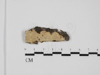 登錄號:F0031569藏品圖，第1張