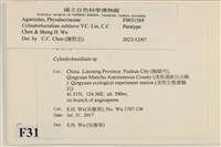 登錄號:F0031569藏品圖，第3張