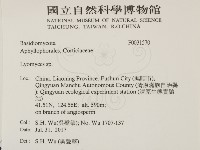 登錄號:F0031570藏品圖，第2張