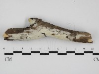 登錄號:F0031570藏品圖，第1張