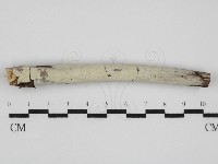 登錄號:F0031571藏品圖，第1張