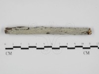 登錄號:F0031572藏品圖，第1張