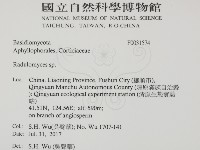 登錄號:F0031574藏品圖，第2張