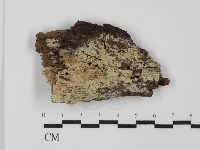 登錄號:F0031577藏品圖，第1張