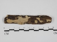 登錄號:F0031578藏品圖，第1張