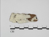 登錄號:F0031579藏品圖，第1張