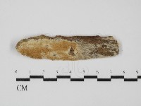 登錄號:F0031580藏品圖，第1張