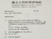 登錄號:F0031581藏品圖，第2張