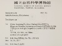 粗糙孢菌屬藏品圖，第2張