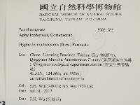 登錄號:F0031583藏品圖，第2張