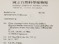 登錄號:F0031586藏品圖，第2張