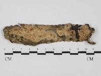 登錄號:F0031586藏品圖，第1張