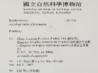 射脈菌屬藏品圖，第2張