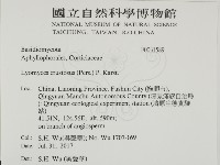 登錄號:F0031589藏品圖，第2張