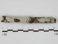 登錄號:F0031589藏品圖，第1張