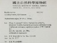 登錄號:F0031590藏品圖，第2張