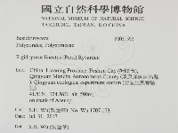 登錄號:F0031593藏品圖，第2張