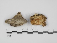 登錄號:F0031593藏品圖，第1張
