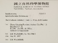 登錄號:F0031595藏品圖，第2張