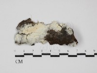 登錄號:F0031597藏品圖，第1張