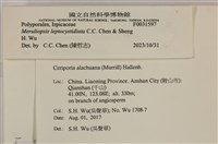 登錄號:F0031597藏品圖，第3張