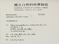 登錄號:F0031598藏品圖，第2張