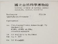 絲皮菌屬藏品圖，第2張