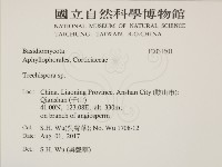 登錄號:F0031601藏品圖，第2張
