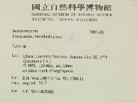 耙菌屬藏品圖，第1張