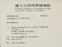 登錄號:F0031603藏品圖，第2張