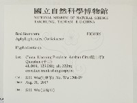 絲齒菌屬藏品圖，第2張