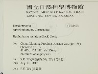 登錄號:F0031608藏品圖，第2張