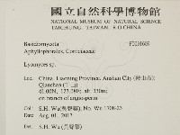 登錄號:F0031609藏品圖，第2張