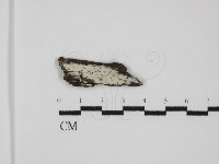 登錄號:F0031609藏品圖，第1張