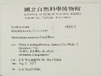 登錄號:F0031611藏品圖，第2張
